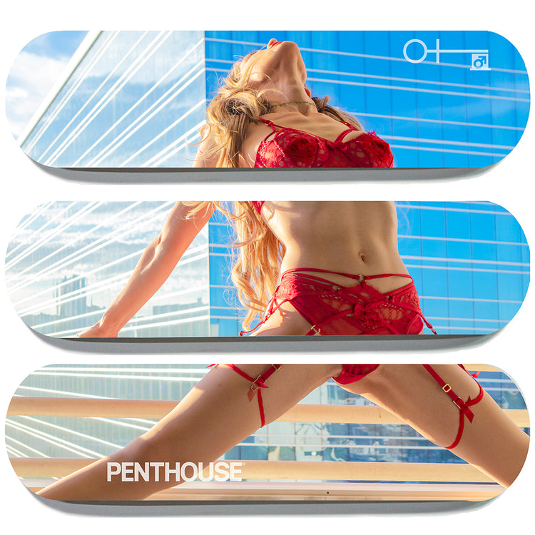 Penthouse Skateboard Art